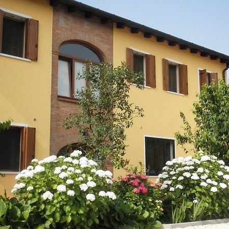 B&B Ai Ciliegi Mogliano Veneto Buitenkant foto