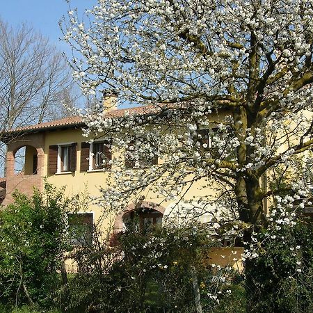 B&B Ai Ciliegi Mogliano Veneto Buitenkant foto
