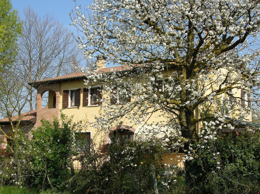 B&B Ai Ciliegi Mogliano Veneto Buitenkant foto